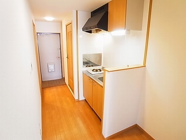 アレグラール その他9