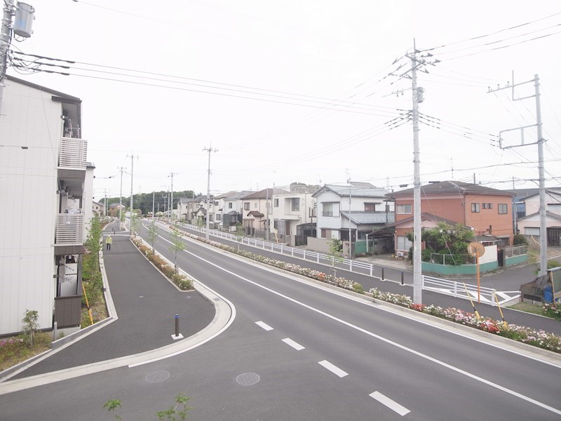 リリー　アネラ その他5