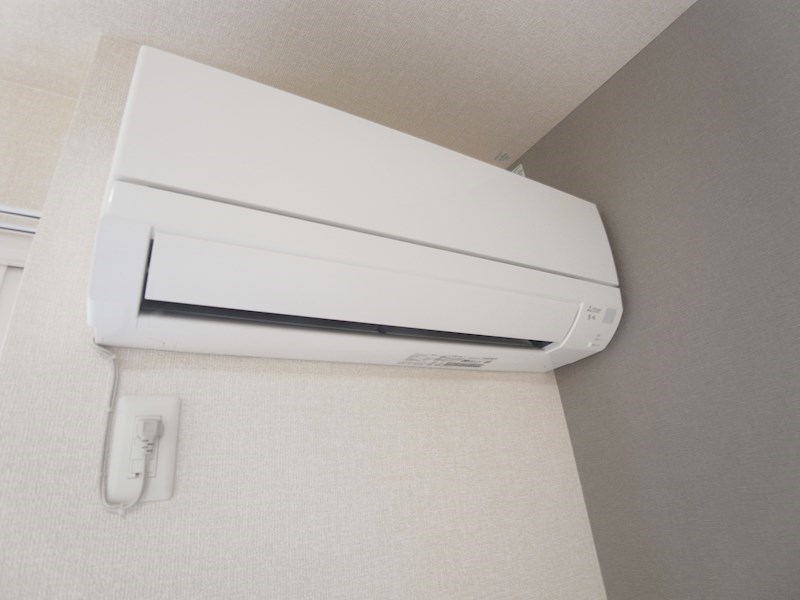 リリー　アネラ その他6