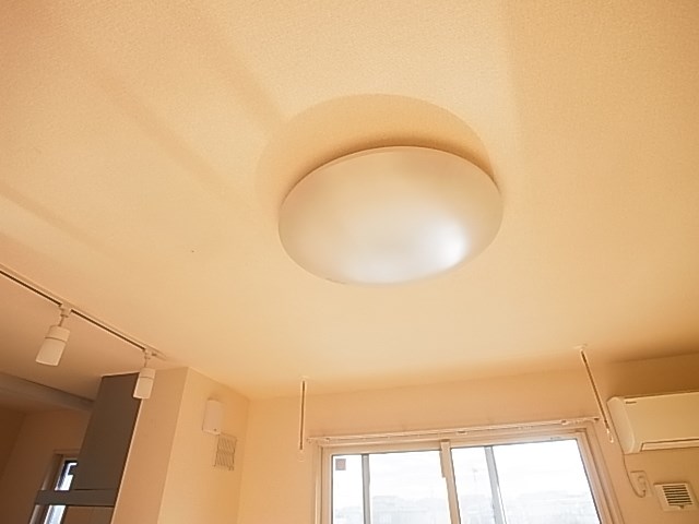 芳葉ハウス  その他13