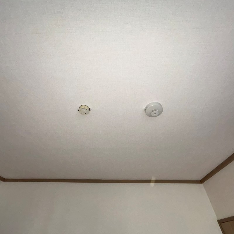 ヒルズペガサス その他27