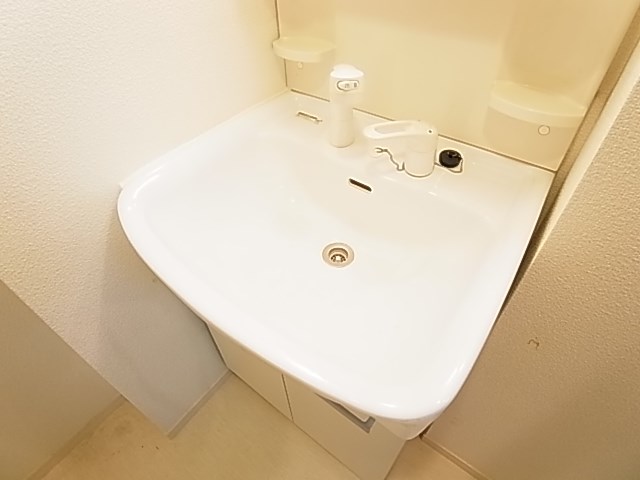 ビクロス その他2