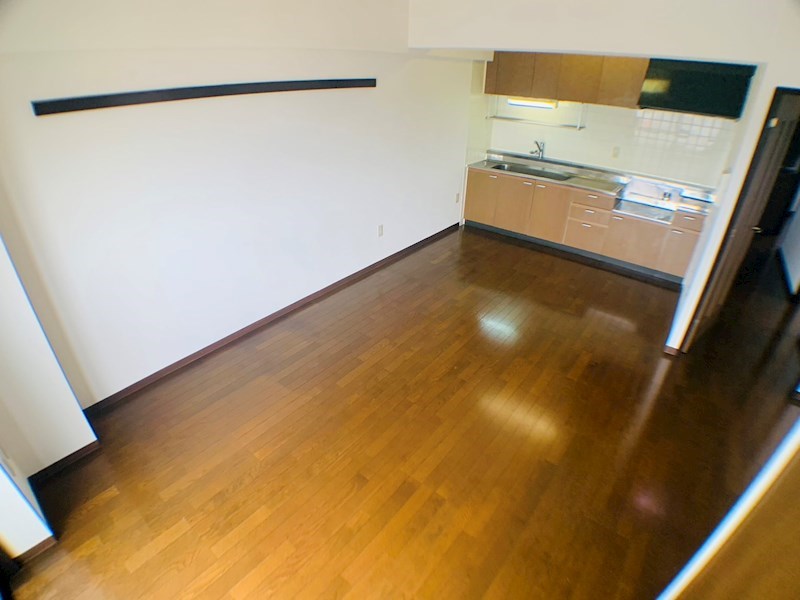 シーダーエクセレント２ その他30