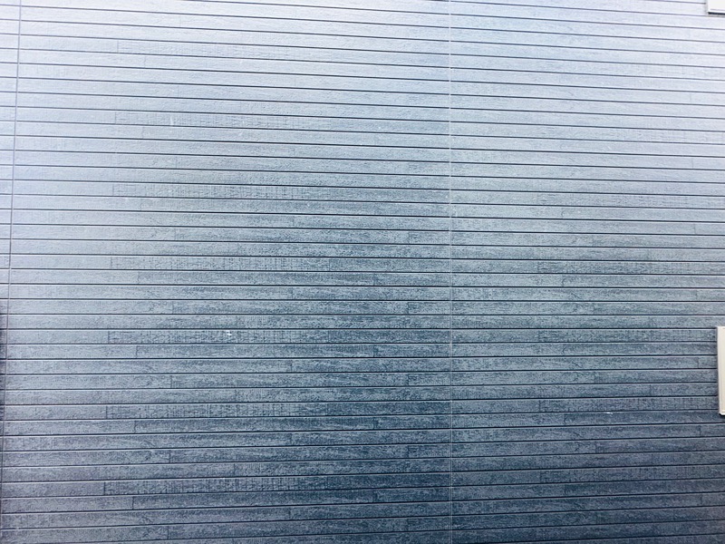 Amitie Ojikamiya その他5