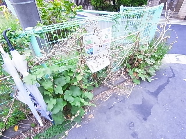 FERIO綾瀬ウエストコート その他外観3