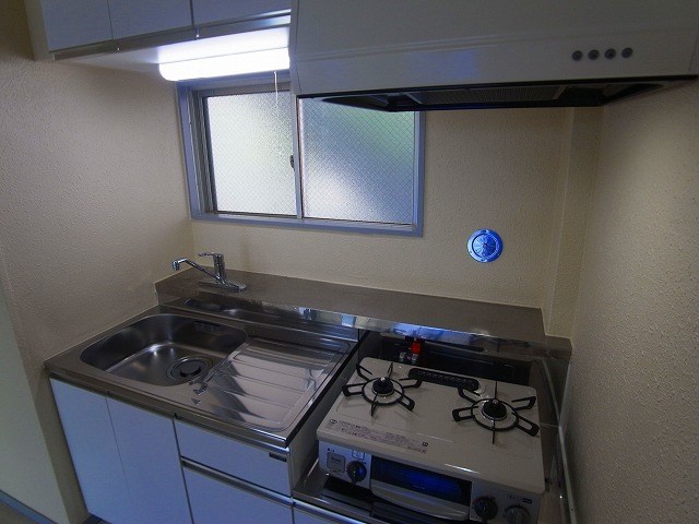 キャッスルハイム その他10