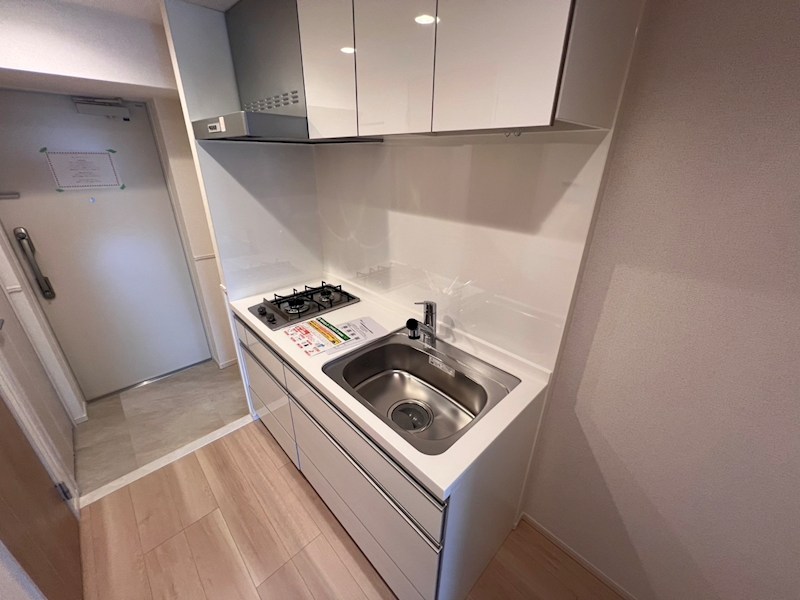 スアヴィス谷在家 その他12