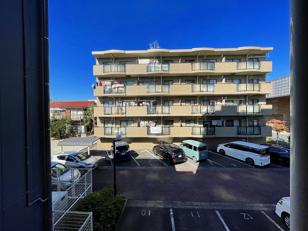 グリーンパレス  その他6