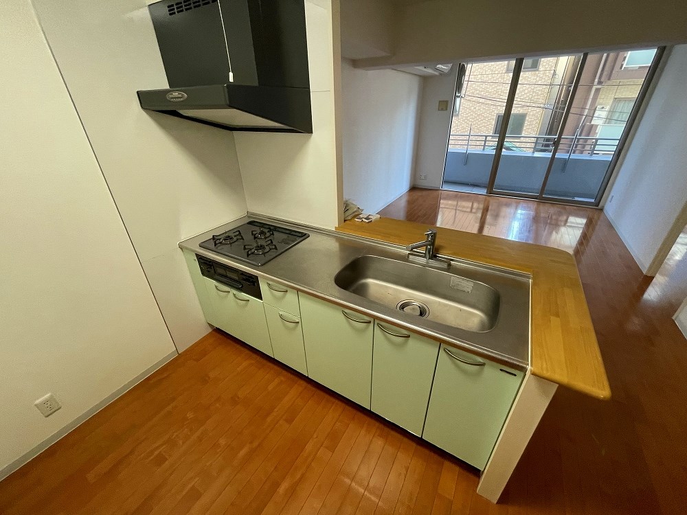 グリーンパレス  その他15