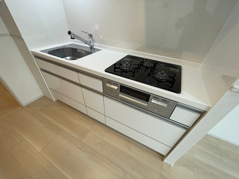 スアヴィス舎人 その他14