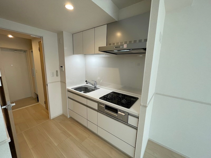 スアヴィス舎人 その他15