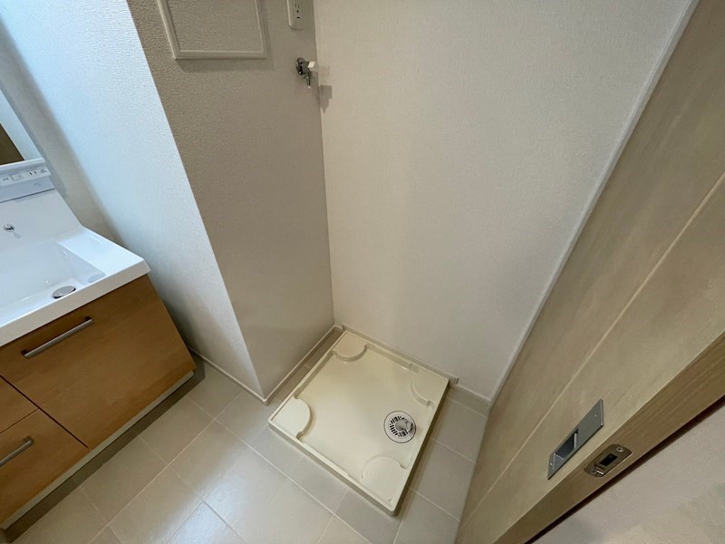 スアヴィス舎人 その他24