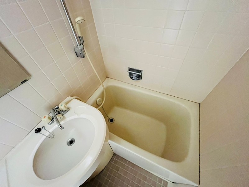 ライオンズマンション梅島第３ その他17