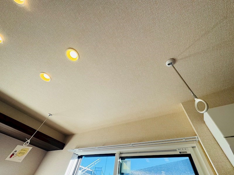 ﾙｶﾞｰｾｸﾞｰﾛ　LugarSeguro その他41