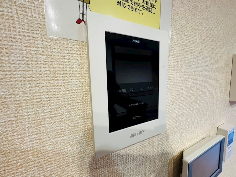 ﾙｶﾞｰｾｸﾞｰﾛ　LugarSeguro その他4