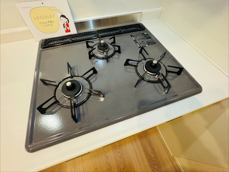 ﾙｶﾞｰｾｸﾞｰﾛ　LugarSeguro その他36