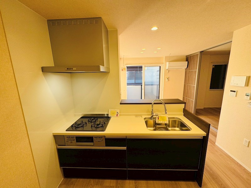 ﾙｶﾞｰｾｸﾞｰﾛ　LugarSeguro その他13