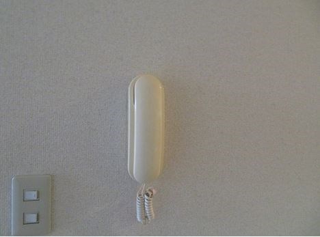 casa de rosa その他4