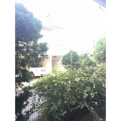 casa de rosa ベランダ