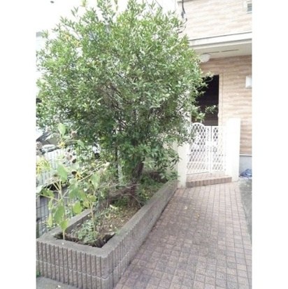 コーポ望月 その他外観2