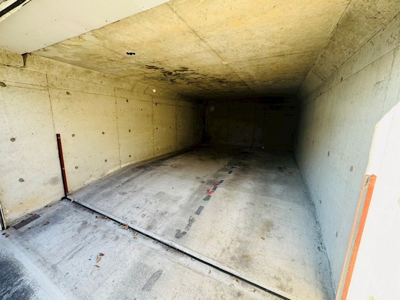 テール弥生町 その他外観2