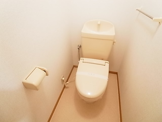 ステラ その他1