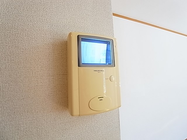 ステラ その他2