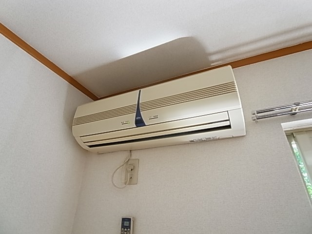 ステラ その他3