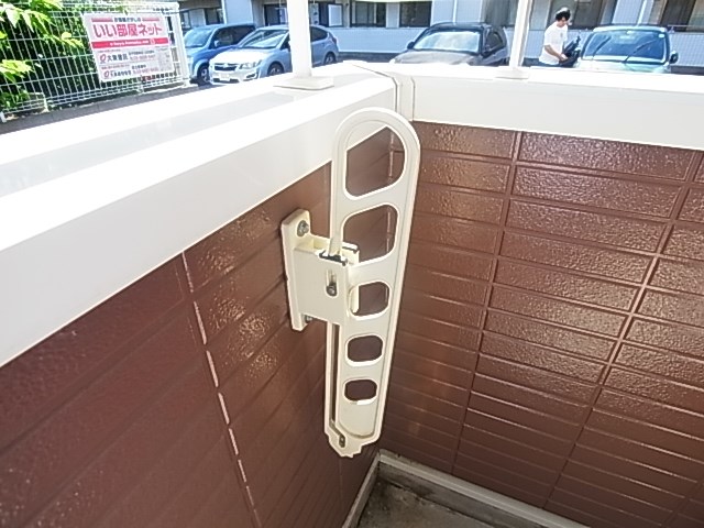 ステラ その他4