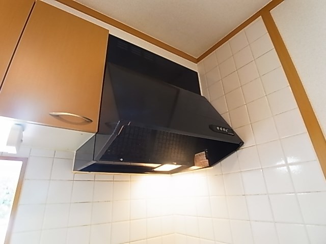 ステラ その他10