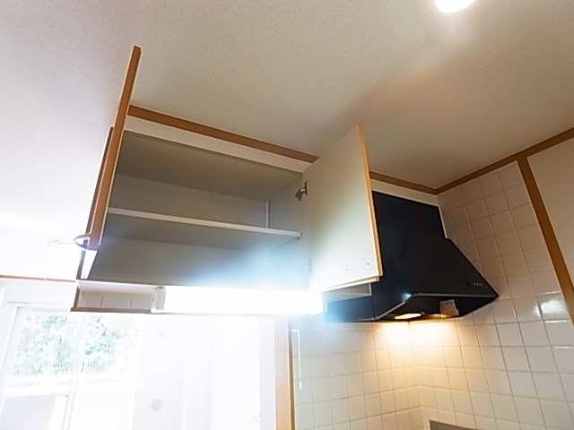 ステラ その他11