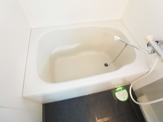 エルミタージュ その他16