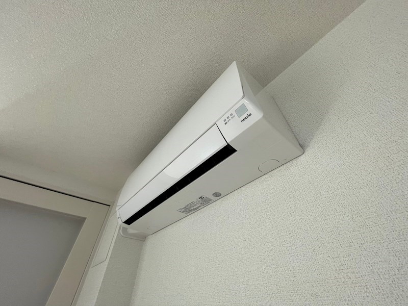 スアヴィス舎人 その他9