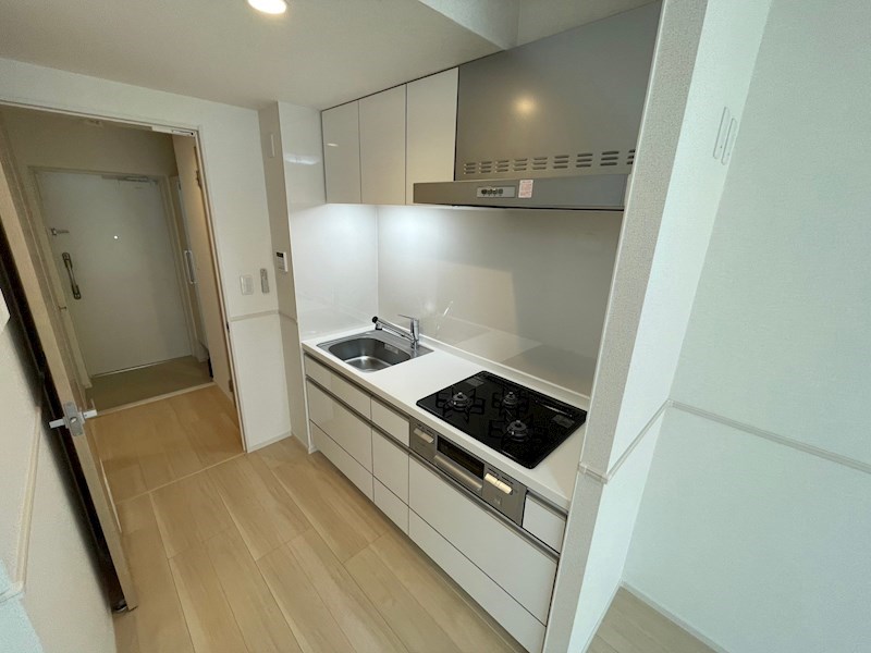 スアヴィス舎人 その他12