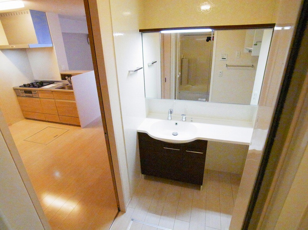 ラピュタ　ウイングス その他9