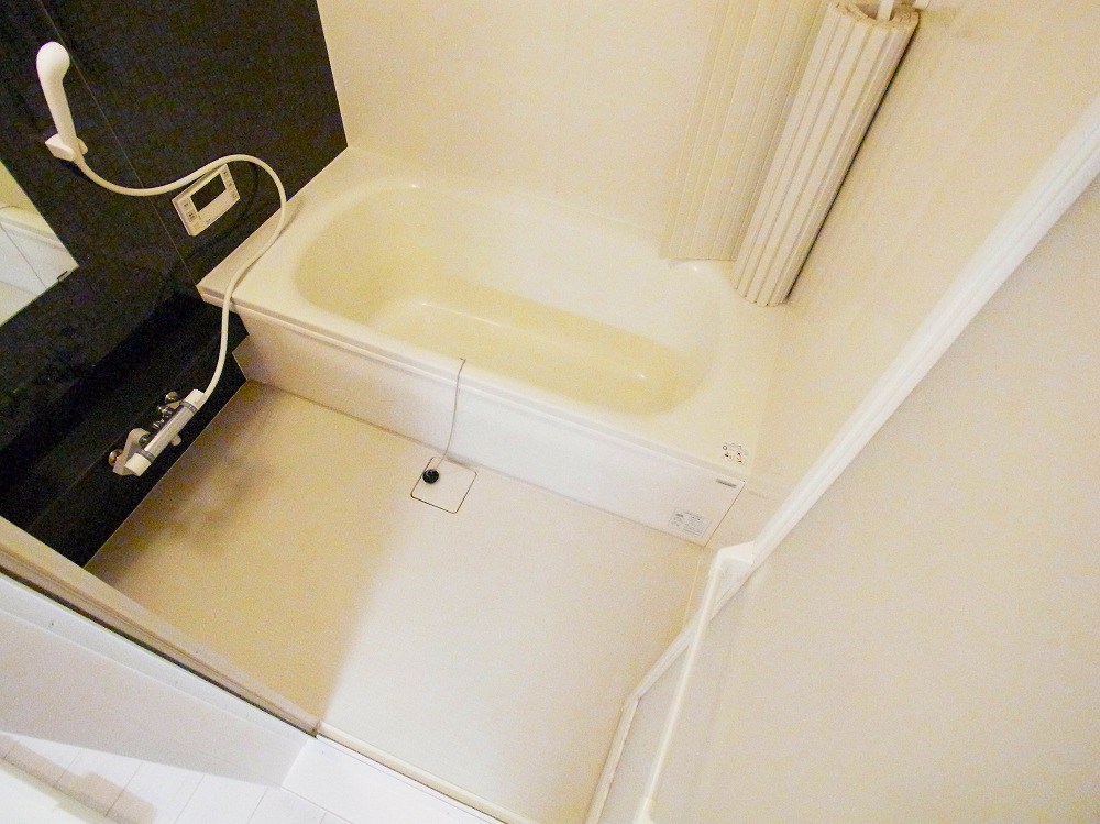 ラピュタ　ウイングス その他11