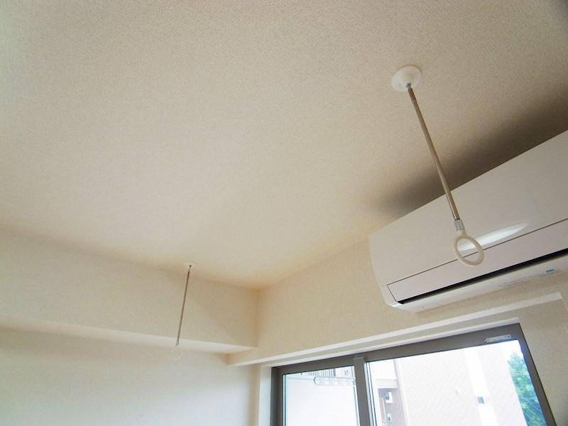 ラ　ラ　トマート　B その他16