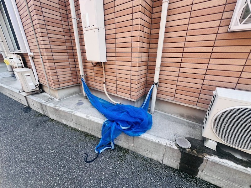 シャンテ小菅Ⅱ その他外観2