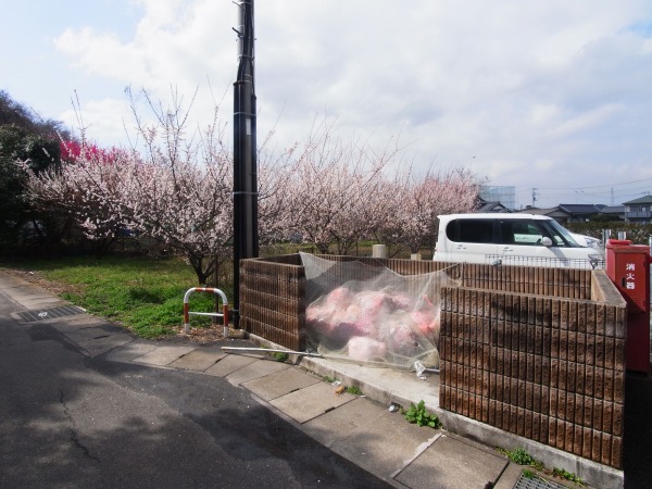 モラダ・アケボノ その他外観1