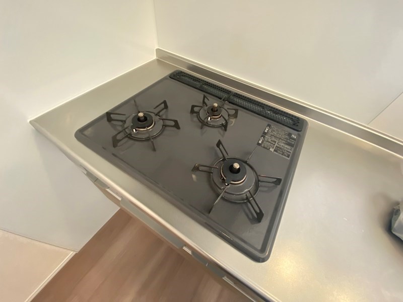 リリー　アネラ その他19