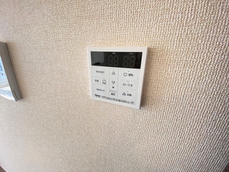 リリー　アネラ その他29