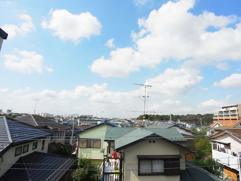 krasuco柏 その他9