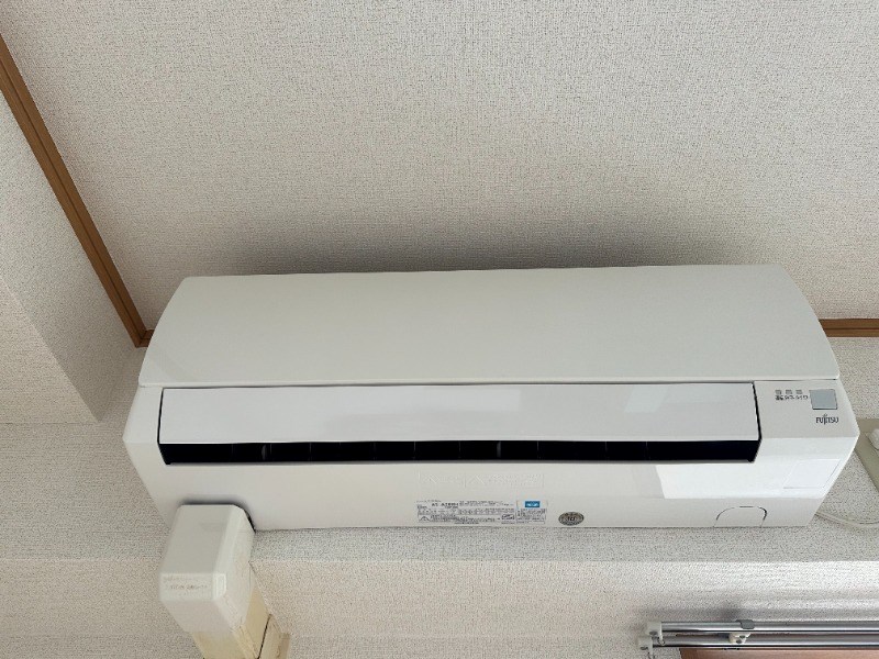 アルファマ その他5