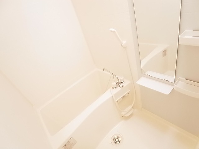 アルファマ その他17