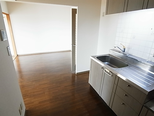 ピアーヒルズダイモン その他10