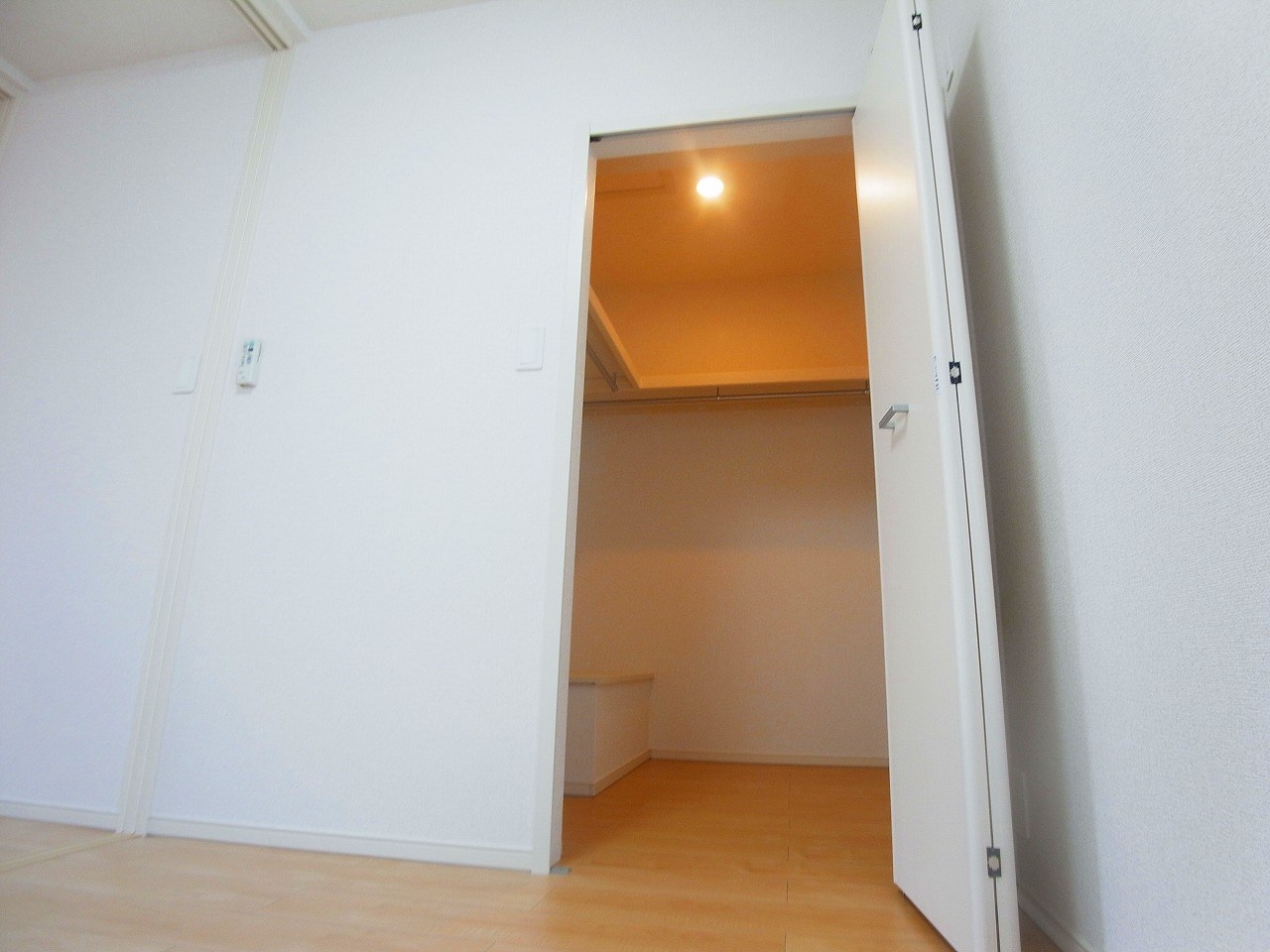 アドニス（adonis）  その他3