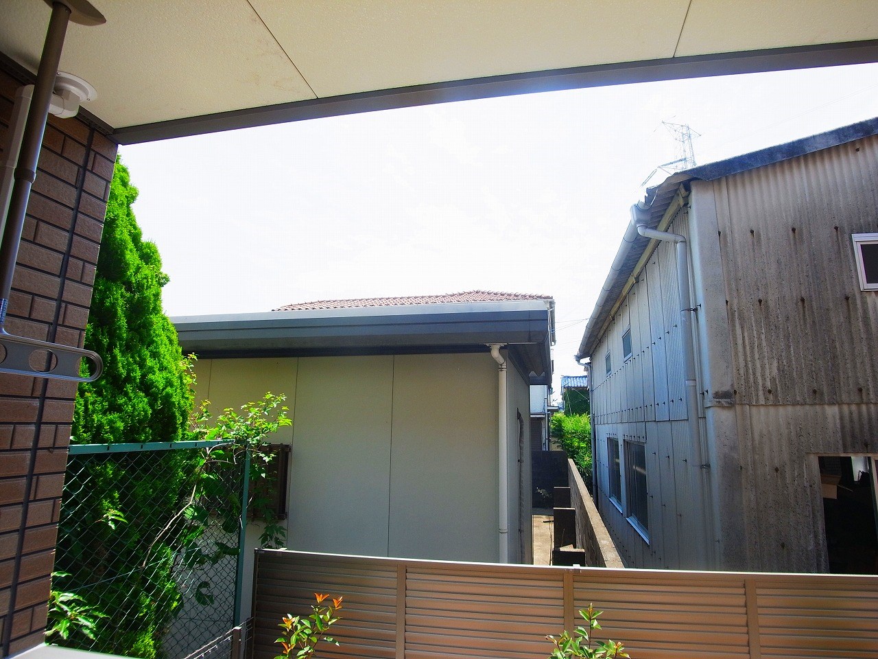 アドニス（adonis）  その他5