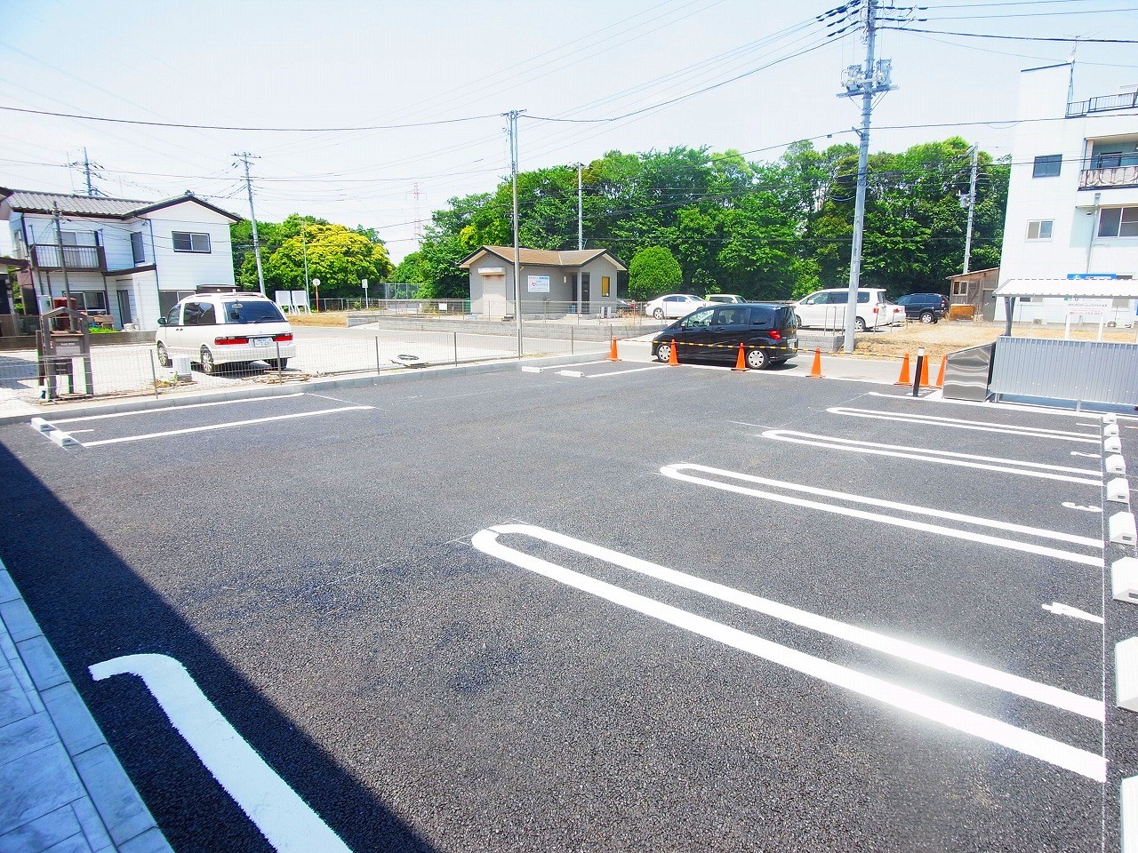 アドニス（adonis）  その他外観4