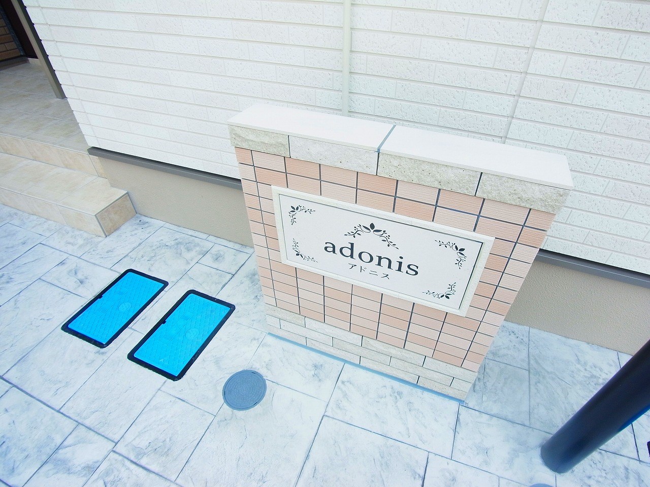 アドニス（adonis）  その他外観6