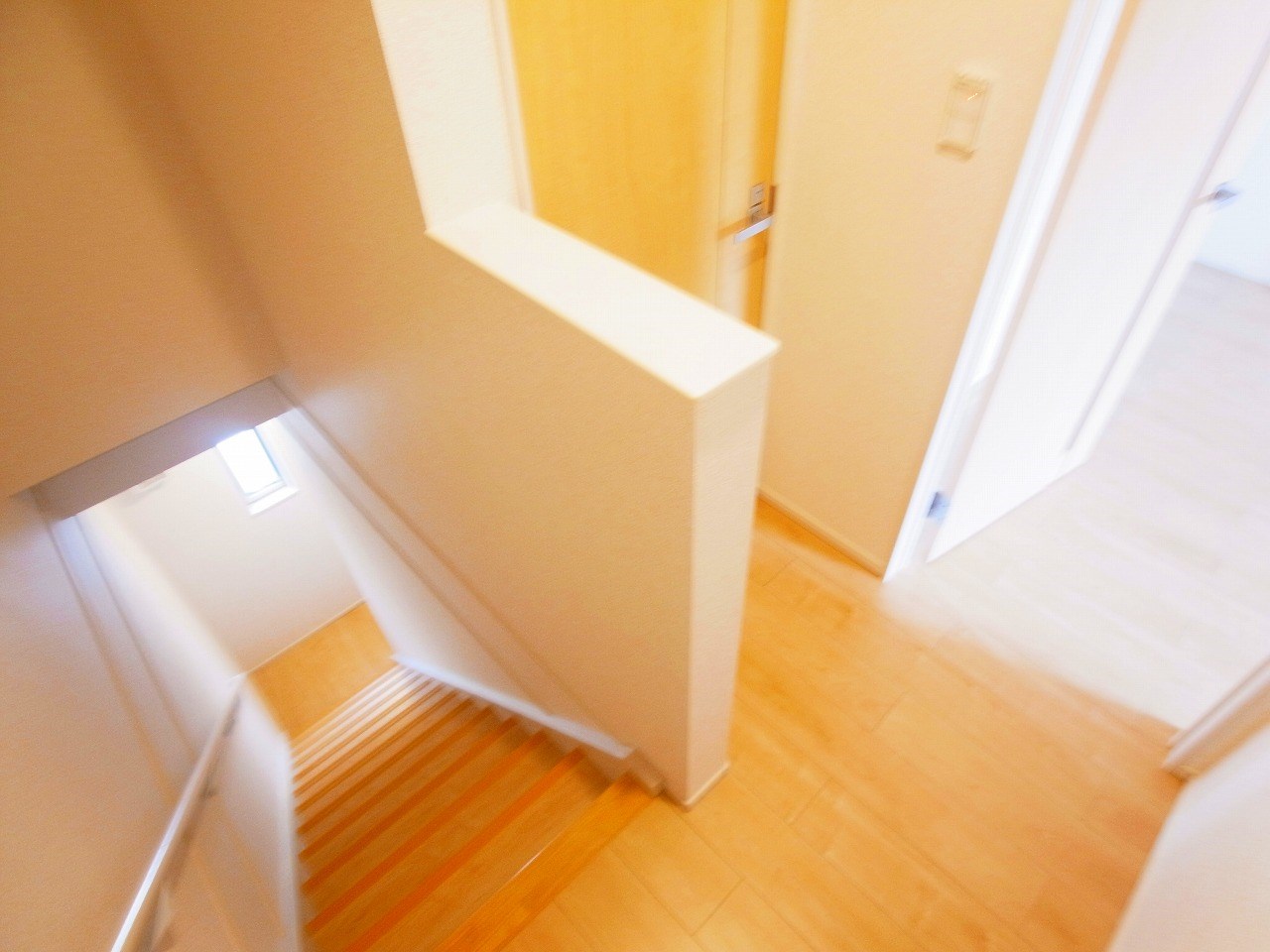 アドニス（adonis）  その他7